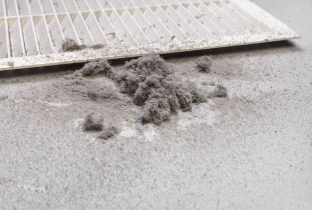 Best Air Duct Cleaning Near Me  in Capron, IL