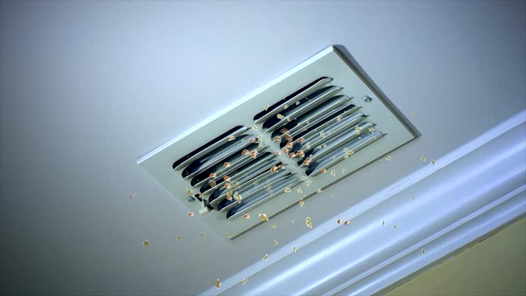 Best Air Vent Cleaning Services  in Capron, IL