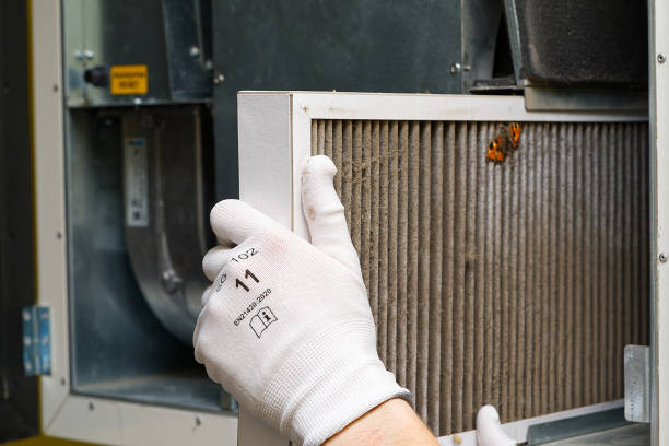Best Professional Duct Cleaning Services  in Capron, IL