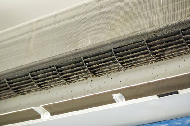 Best Emergency Air Duct Cleaning  in Capron, IL