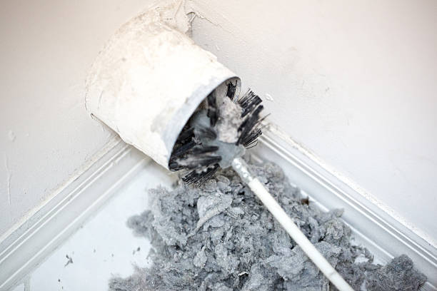 Best Affordable Duct Cleaning Services  in Capron, IL