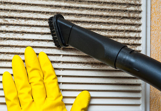 Best HVAC Duct Inspection Services  in Capron, IL